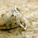 Intertwining Leaf & Vine Wedding Ring in 14K White Gold with Glossy Finish and Antiquing Size 6