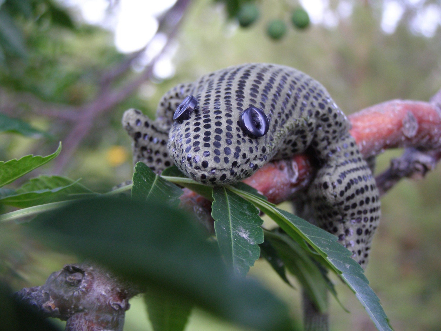 Philip the Gecko small gecko lizard stuffed toy animal