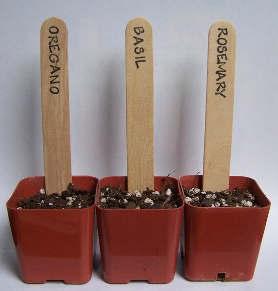 Herb Plant Markers Handstamped Popsicle Sticks by SamBuck on Etsy