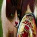 original art drawing aceo cat ukrainian egg Easter cat