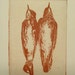 original etching of a bird,hand pulled