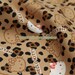 Japanese Cotton Fabric-Fashion Leopard Red Bow Hello Kitty Head(Fat Quarter)