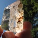 Quartz Crystal Specimen With Black Tourmaline / Talisman Powerful Protection/Tourmalinated Quartz- Crystal Sale