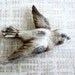 Sweet Bird Magnet