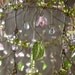A Dainty Pink Sunshower Chandelier