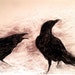 Winter crows 2 - original charcoal drawing , Halloween art 6x9,5 inch