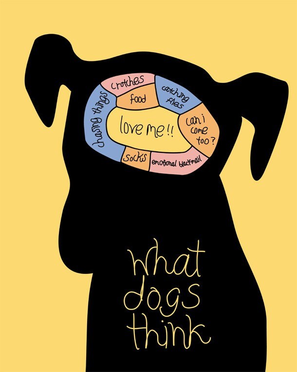 what-dogs-think