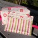 Pink Sleeping Lions Project Bag Set