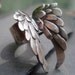 blackbird... the ring