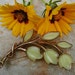 Crown Trifari Molded Custard Glass Flower Brooch