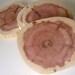 Large Cedar Slices 10 Tree Branch Slices