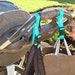 Stroller Straps- You Pick the Color