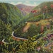 Vintage Arizona Postcard - In Oak Creek Canyon (Unused)