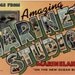 Vintage Florida Postcard - Greetings from Marine Studios, Marineland (Unused)