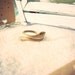 Snake Ring Double head