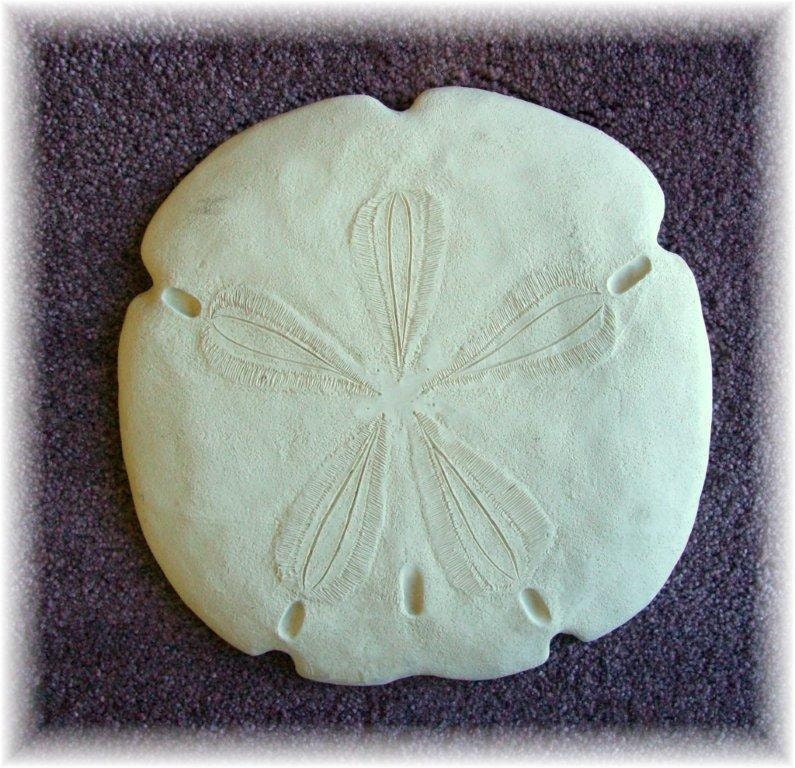 SAND DOLLAR Sea Shell Plastic Mold Mould to by GramsGardenDecor