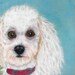 Blondie Vintage Poodle Art on Velvet
