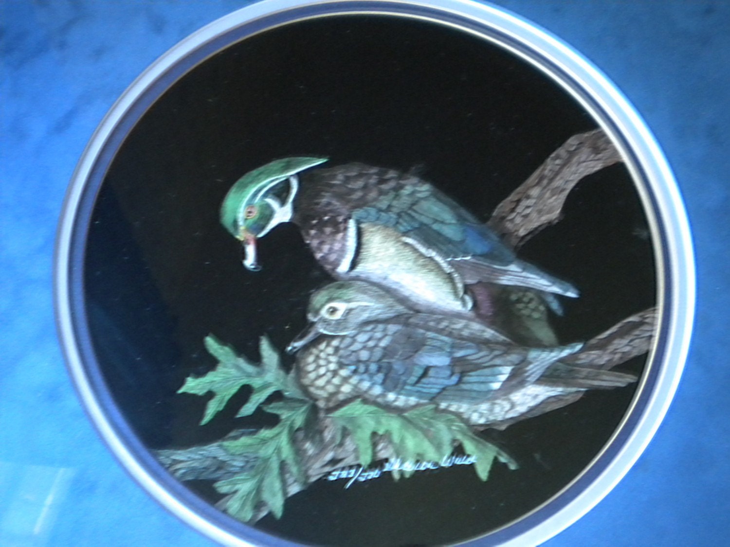 SALE Sharon Wald Scratchboard Bird Picture Framed and Matted