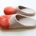 Amazone mountains" Felted wool slippers in women's size US 8,5 - 9 Ready to ship