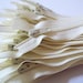 Zippers - Ten Vanilla Cream 18 Inch YKK zippers