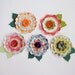 BLOOMING BUTTONS FLOWERS