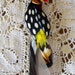 Vintage Real Feather Exotic Bird Brooch