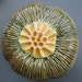 Yellow Spore Pod Wall Hanging or Garden Art