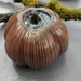 Red Clay Garden Pod Wall Art with Green Glaze Center and Sprout 2