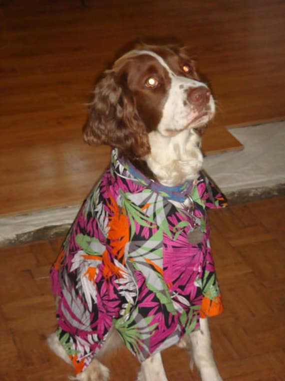 Dog's Hawaiian shirt by TexasCelticTreaures on Etsy