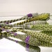 Pre Order for 2 French Lavender Wands Organic Sachet Potpourri Purple Green Ribbon Ready in late June