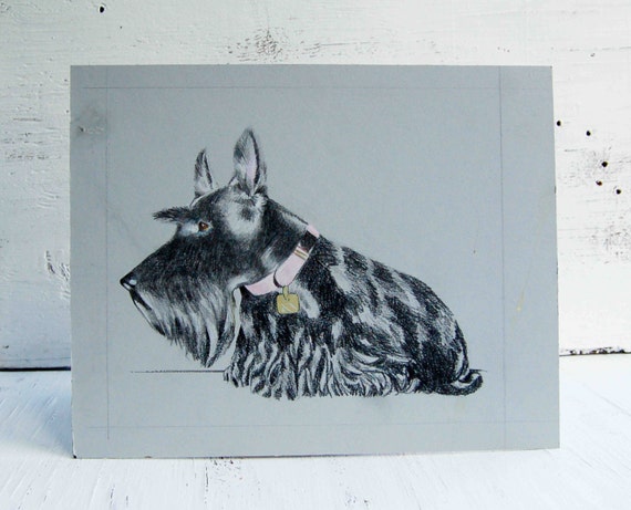 Vintage Scottie Dog Original Illustration Colored Pencil