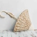 Vintage UMBRELLA Wall Vase Sconce Cream & Gold Filigree Rainy Day French Style Spring