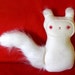 Crimson- The Creepy Cute Albino Squirrel