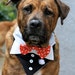 Dog Tuxedo Bandana L or XL