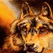 Wolf ACEO Original Art Card