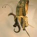 Thoas Swallowtail Dragonfly