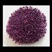 Miyuki Delica Seed Beads - Galvanized Dark Fuchsia - 463 - 11/0 - 4.5 Grams