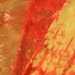 Hand Dyed Fabric - Karratha - 3 Fat Quarters