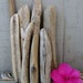 Small Driftwood Pieces for Crafts & Beach House Decor D-8