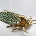 2 Blue Patina Cicada Stampings in Raw Brass