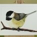 ACEO original watercolor painting / Chickadee / Birds in Our Garden series no. 13 / Waiting for Spring