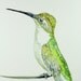 Original Watercolor painting / Hummingbird / ACEO painting no.18