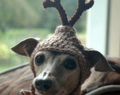 RESERVED for Sarah - Dog hat - REINDEER - Christmas pet hat - XS/S Sizes- Humorous Funny Antlers - 2 - 20 lbs -Made to Order RESERVED for Sarah - Dog hat - REINDEER - Christmas pet hat - XS/S Sizes- Humorous Funny Antlers - 2 - 20 lbs -Made to Order