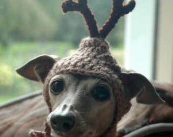 REINDEER dog hat - Christmas pet hat - Humorous Funny Antlers - 2 - 20 lbs -Made to Order