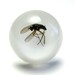 3-Day - SALE - Dancing Mosquito - Resin ring - Size M