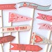 Valentine Flags Cupcake Toppers-reserved for Cheryl