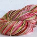 Hand Painted Bamboo Yarn - Petunia - 200 yds dk