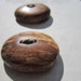 2 Wood Buttons-Handmade Wooden Buttons in Alder- Knitting, Sewing, Craft Buttons