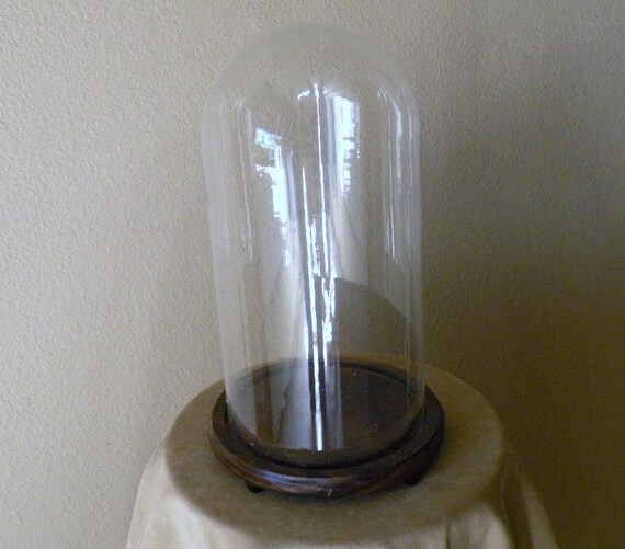 LARGE Glass Dome Display Case for your Treasures 12 inches