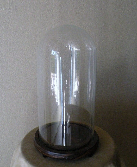 LARGE Glass Dome Display Case for your Treasures 12 inches